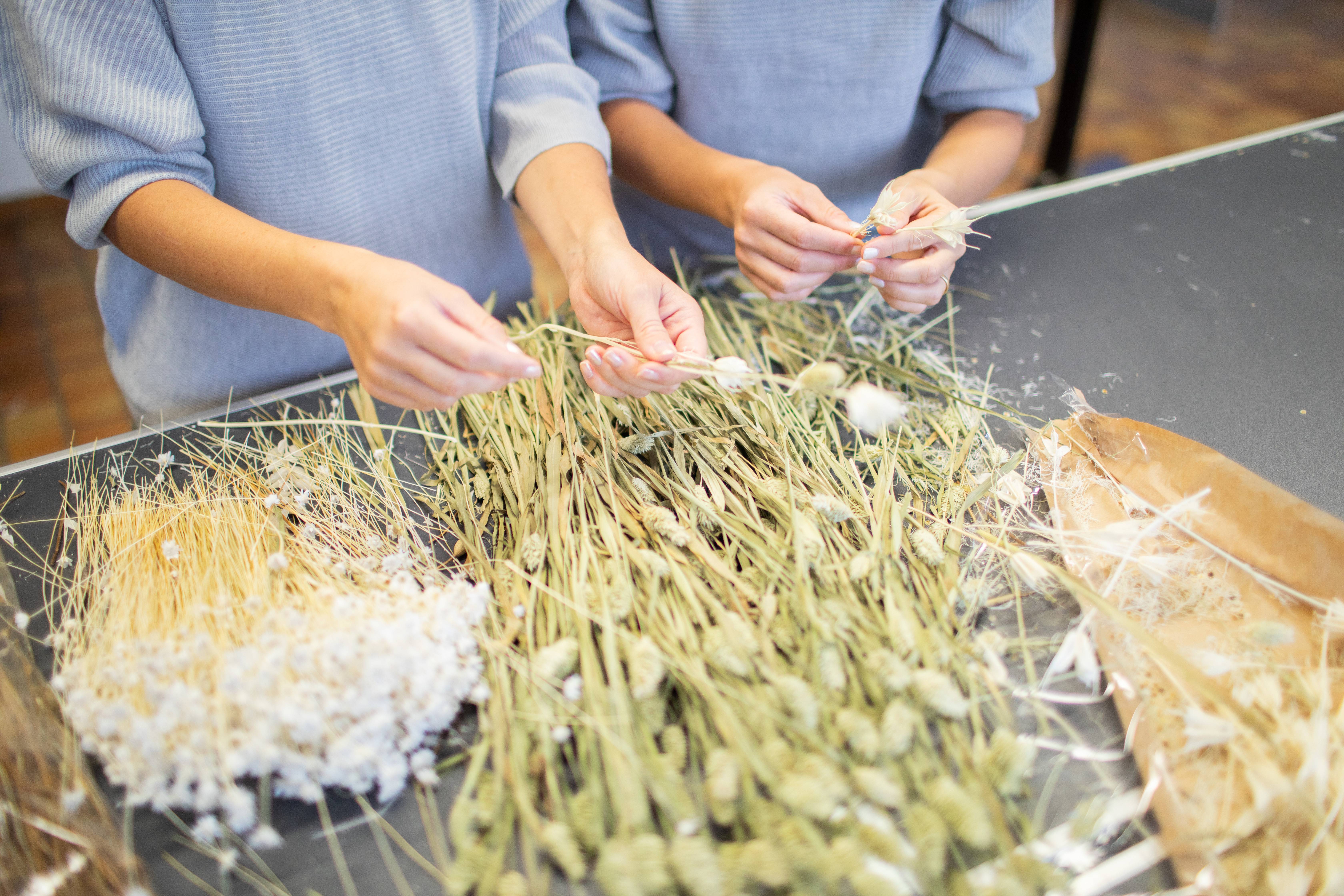 Wie alles begann ...